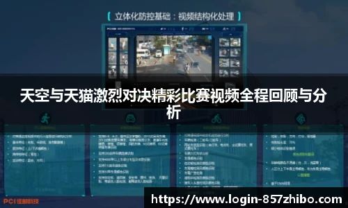 天空与天猫激烈对决精彩比赛视频全程回顾与分析