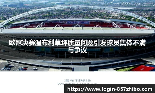 欧冠决赛温布利草坪质量问题引发球员集体不满与争议